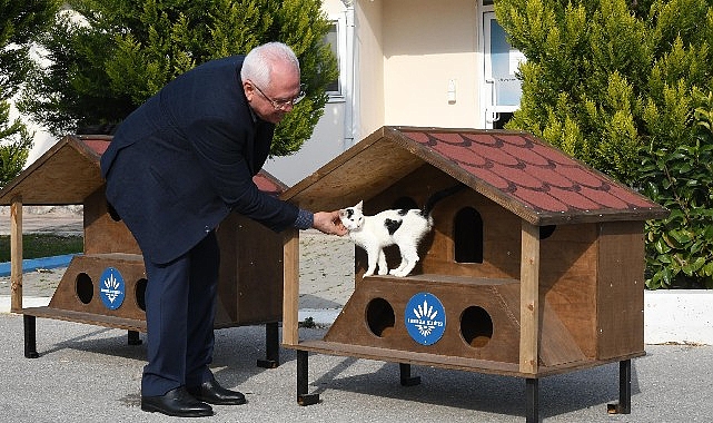 Karabağlar'ın 2023 yılı kedi evleri hazır