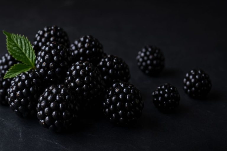 Böğürtlenin Faydaları Nelerdir?