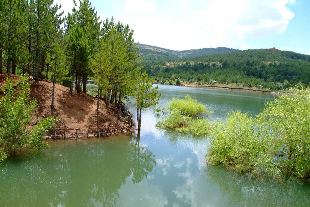 Yozgat Milli Çamlık Parkı